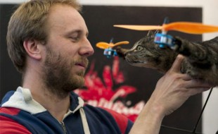 Taxidermy Rotordrone: Drop-dead Hysterical or Just Plain Creepy?