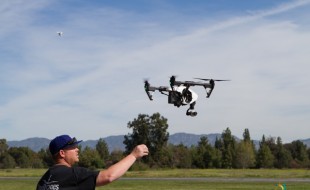 Houdini the horse found by a drone