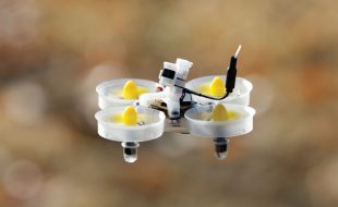 Drone Review: NewBeeDrone AcroBee