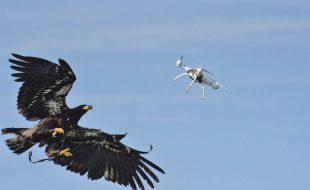 Rogue Drones: Counter-UAS systems take down outlaw aircraft