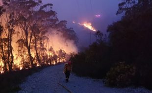 Edgybees Helps Australia’s Firefighters
