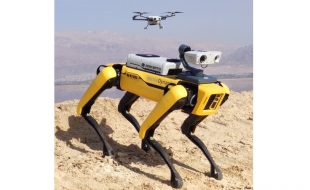 Spot and Sparrow: Autonomous Drone Team